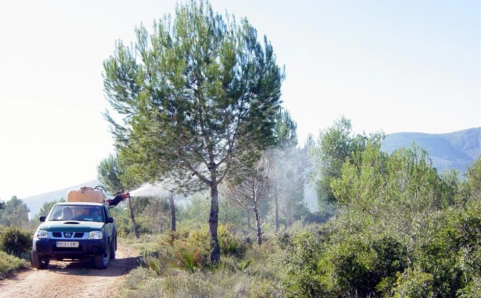 Imagen del artículo La Generalitat intensifica los trabajos para el control de plagas en los montes de la Comunitat Valenciana