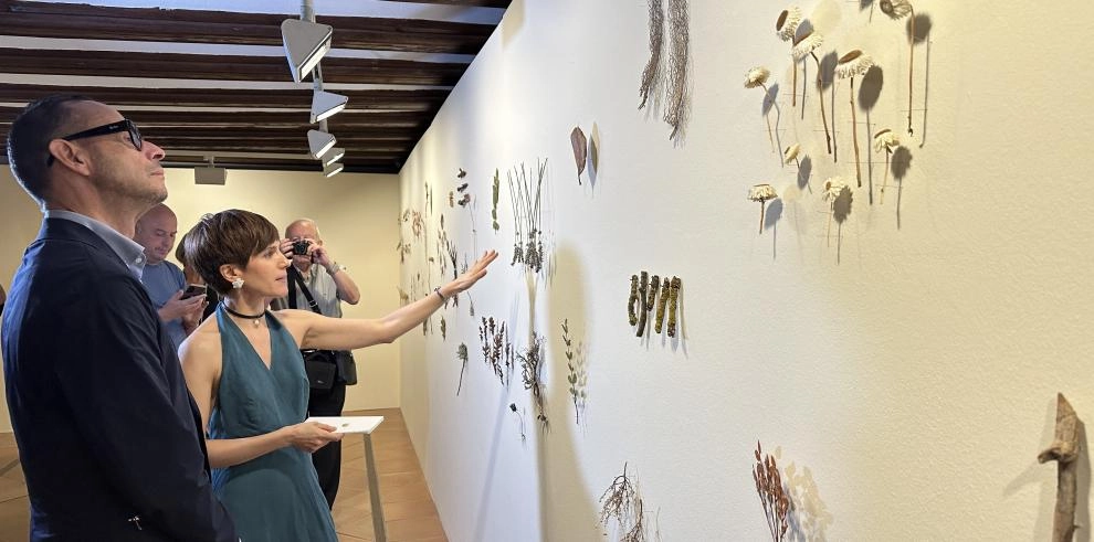 Imagen del artículo El Museo Juan Cabré de Calaceite inaugura la exposición 'Silencio y Metamorfosis. Marta Sánchez Marco'