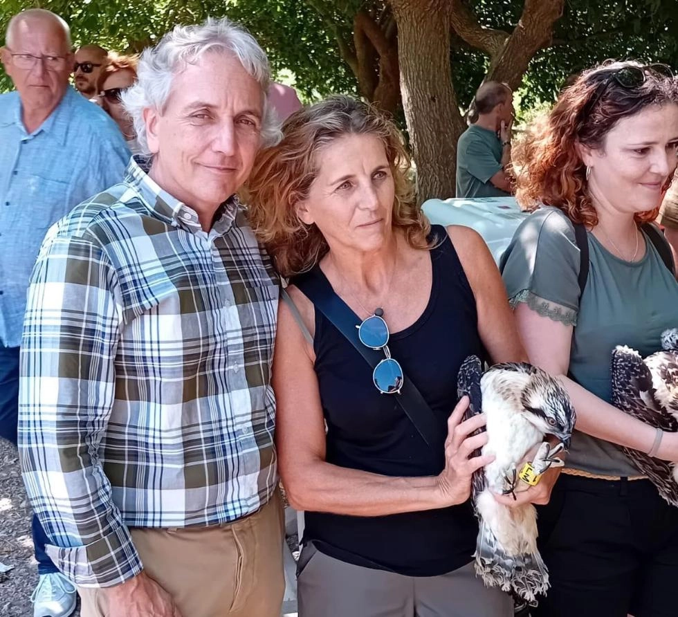Imagen del artículo La Generalitat reintroduce 12 crías de águila pescadora en el Parque Natural de la Marjal Pego-Oliva para garantizar la conservación de la especie