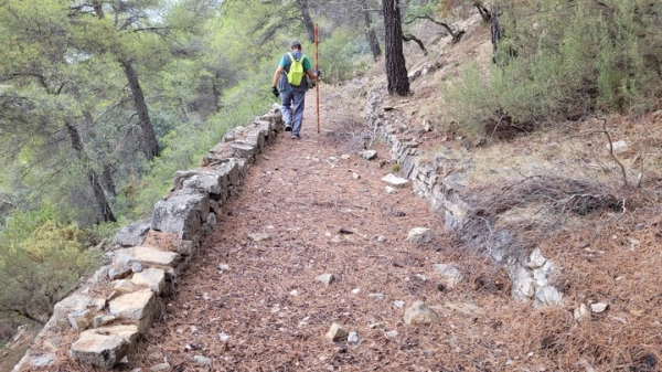 Imagen del artículo Medio Ambiente continúa catalogando las construcciones en piedra seca del interior del Parque Regional de Sierra Espuña