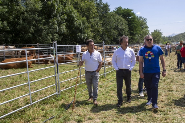 Imagen del artículo Palencia traslada el compromiso del Gobierno con la promoción y difusión de los productos agroalimentarios en la tercera Feria Alto Asón
