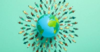 Imagen del artículo Junio de 2024  - El Programa Ciudades Interculturales (ICC) recopila en un informe sus principales hitos del año 2023