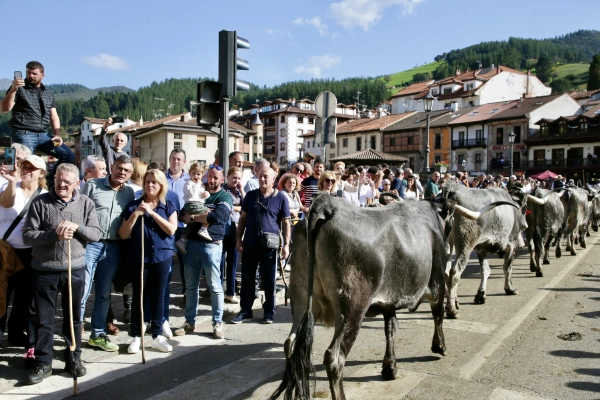 Imagen del artículo El Gobierno destaca la importancia de las ferias ganaderas para impulsar el desarrollo del sector y del medio rural