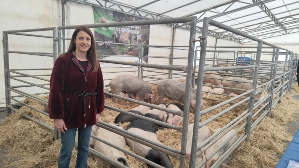 Image 2 of article Medio Rural destaca na Semana Gandeira de Mazaricos o liderado deste municipio na produción de leite en Galicia e o pulo xeral deste sector clave do agro