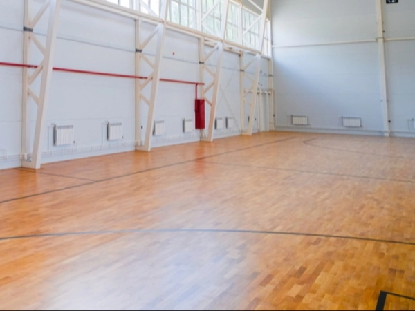 Imagen del artículo El Govern aprova una subvenció de 500.000 euros a l'Ajuntament de Sant Hipòlit de Voltregà per a l'enderroc del pavelló municipal d'esports