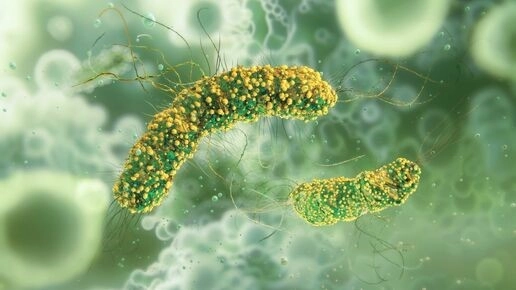 Imagen del artículo Publicación del Informe sobre zoonosis “One Health 2023” de la Unión Europea.