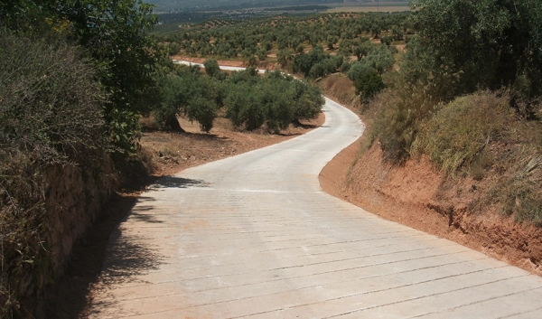 Imagen del artículo Agricultura destina más de 10 millones a adecuar 197 caminos rurales de 60 municipios