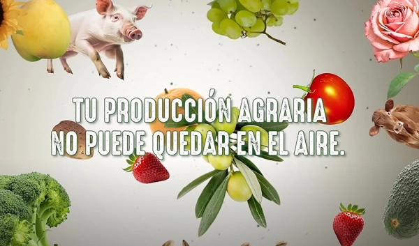 Imagen del artículo La Junta activa por primera vez una campaña anual para incentivar la contratación de seguros agrarios