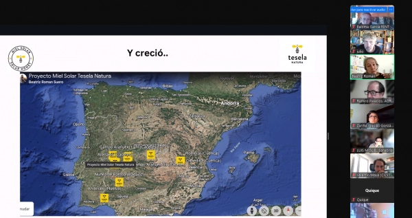 Imagen del artículo El proyecto PASTOREO FV visibiliza buenas prácticas de manejo ganadero y ambientales en instalaciones de energías renovables