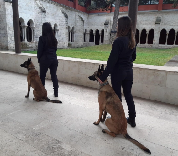 Image 1 of article Ángel Luis Ortiz destaca el potencial disuasorio de las unidades caninas para prevenir la entrada y el consumo de droga en prisión