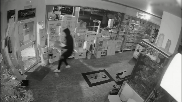Image 0 of article Detenidas siete personas por asaltar de madrugada casi una veintena de comercios en Madrid y Toledo