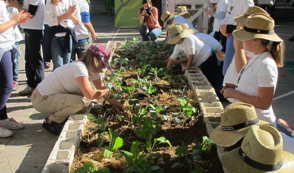Imagen del artículo Más de 720.000 alumnos de 2.100 centros participarán en los huertos escolares del 'Programa Aldea'