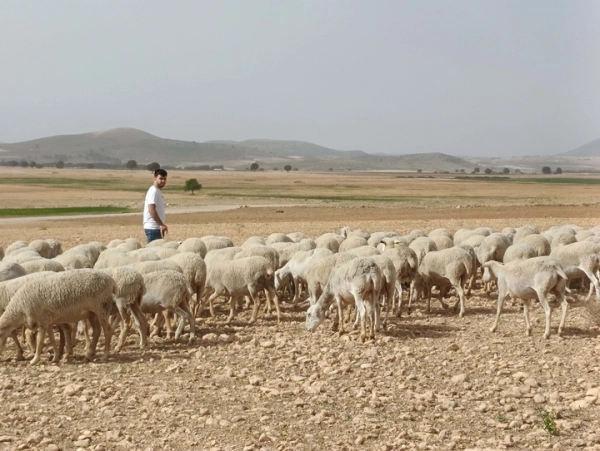 Imagen del artículo La Comunidad abona 4,8 millones de euros a más de 200 jóvenes agricultores de la Región de Murcia