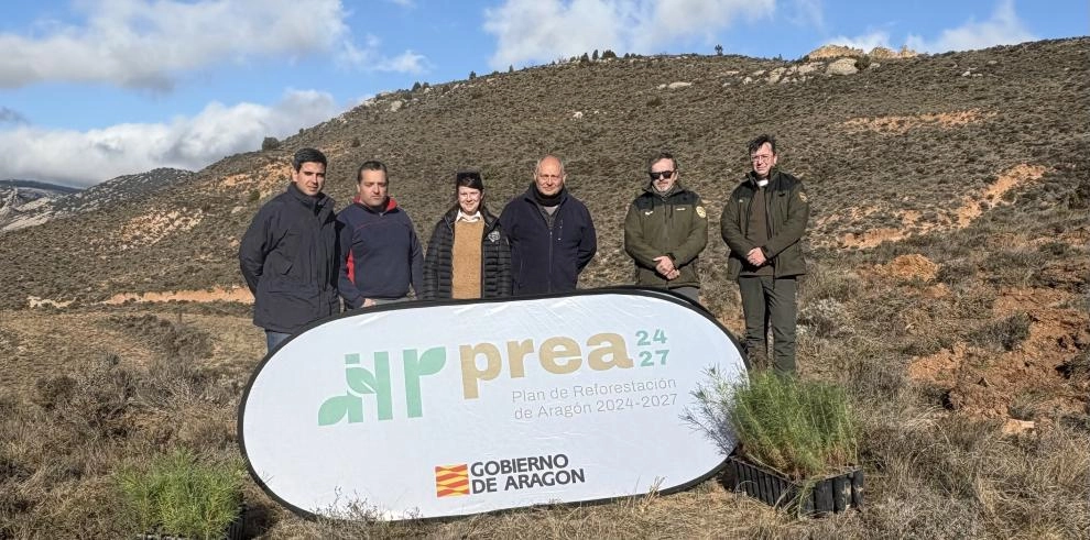 Imagen del artículo Medio Ambiente trabaja en la reforestación de 60 hectáreas en los montes de Aliaga
