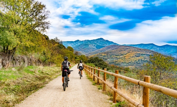 Imagen del artículo La Junta trabaja en una estrategia para impulsar el turismo de los extremeños en la región