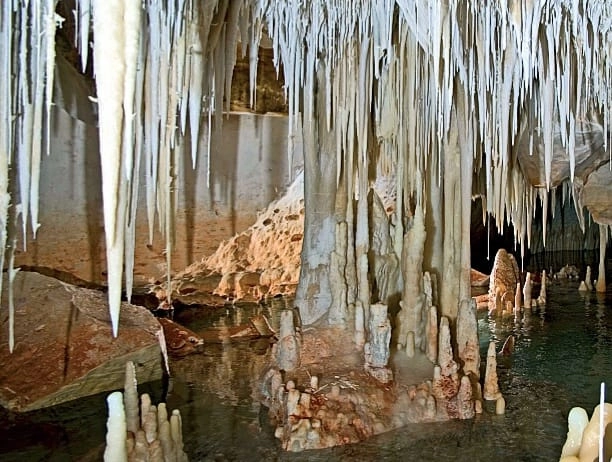 Imagen del artículo Los análisis para comprobar el estado de la cueva del Pas de Vallgornera revelan que no presenta síntomas de contaminación por aguas fecales