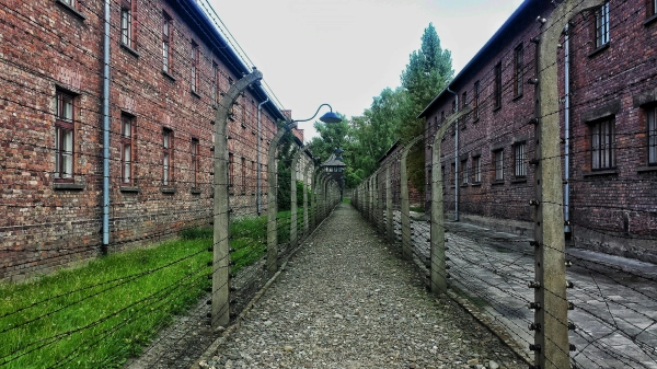 Imagen del artículo Memoria y Convivencia recuerda al medio centenar de navarros que pasaron por los campos nazis en el Día Internacional de Conmemoración del Holocausto 

Escolares de dos centros educativos navarros visitarán en abril, junto con una representación institucional, el campo de concentración de Buchenwald, dentro de los actos organizados con motivo del 80 aniversario de su liberación   	 		 		24/01/2025 		    		 			 			 				 						 							camera_alt