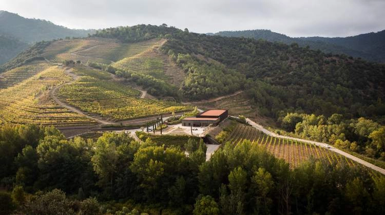 Imagen del artículo El celler català Perinet obre mercat a l'Amèrica Central i l'Europa de l'Est i preveu exportar-hi un 10% de la seva producció anual