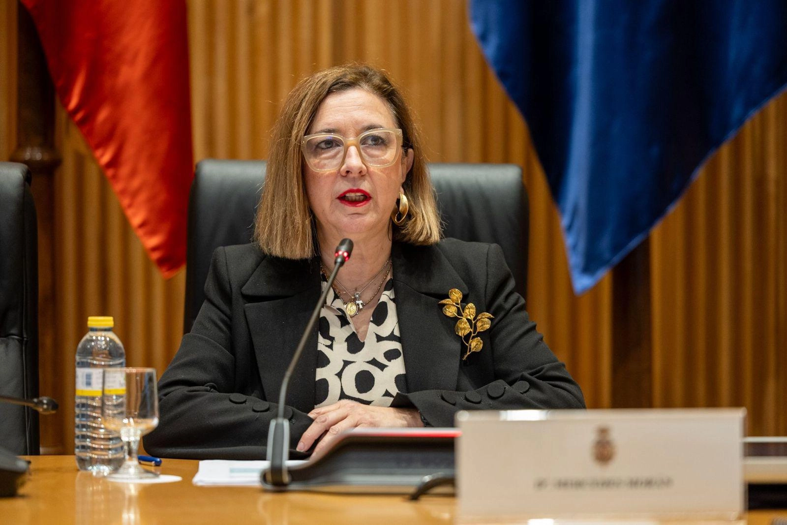 Imagen del artículo Morán presenta en una jornada de UNEF en el Congreso de los Diputados la planificación estratégica y las zonas de aceleración de renovables