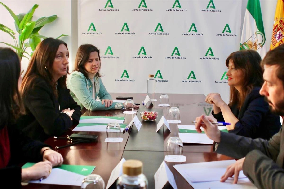 Imagen del artículo Rego pide compromiso político para abordar la pobreza infantil y la acogida de niñas y niños