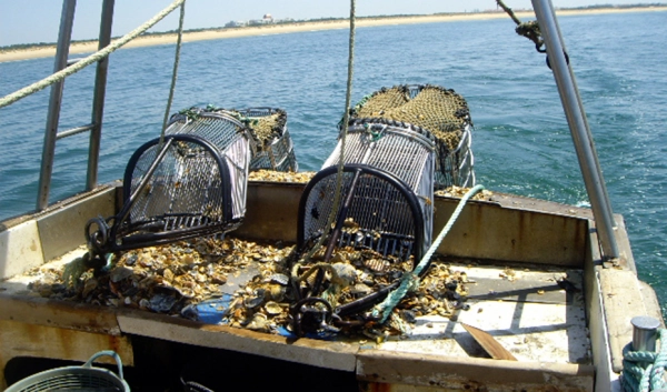 Imagen del artículo El Consejo de Gobierno aprueba una declaración institucional de apoyo a la pesca de arrastre