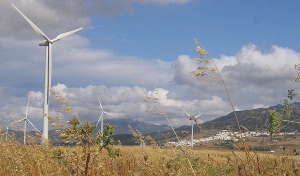 Imagen del artículo La Junta suscribe un acuerdo con Endesa para integrar la agricultura y las energías renovables