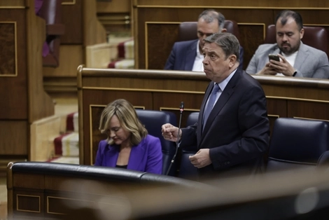 Imagen del artículo Luis Planas: las exportaciones agroalimentarias batieron el año pasado una nueva marca histórica, con 75.090 millones de euros