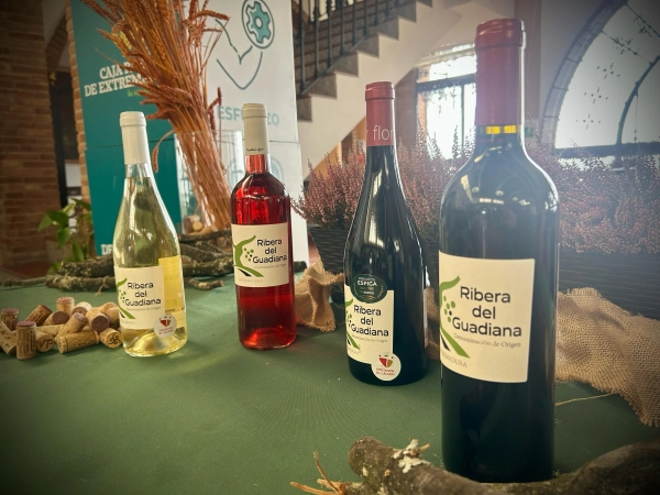 Imagen del artículo Mercedes Morán clausura el IV Concurso de Poda DO Ribera del Guadiana