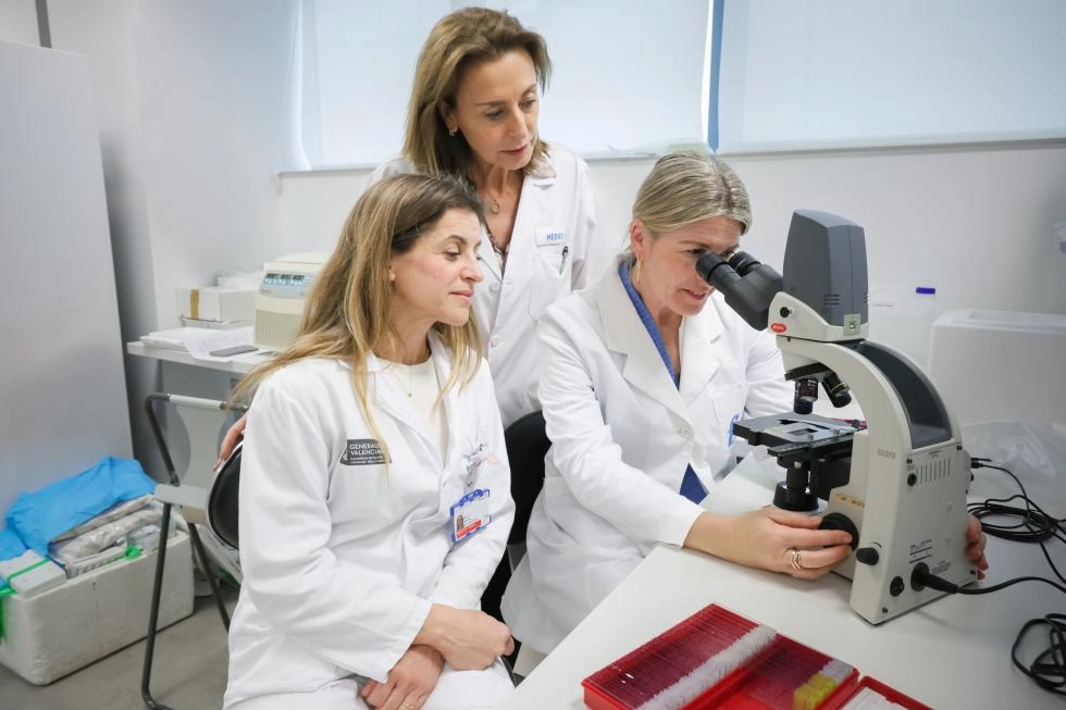 Imagen del artículo La Fe, el IIS La Fe y el IVI investigan un biomaterial para fertilidad a partir de tejido ovárico descelularizado