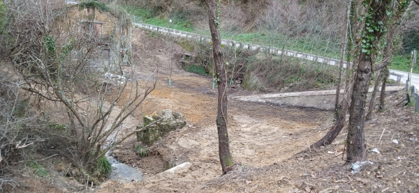 Imagen del artículo URA ha retirado 330 m³ de bambú de una superficie de 1500 m² aledaña a la regata Arrarte en Pasaia Donibane