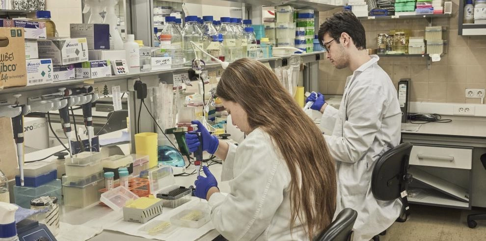 Imagen del artículo Nuevo programa de captación y retención del talento investigador en nuestra comunidad  