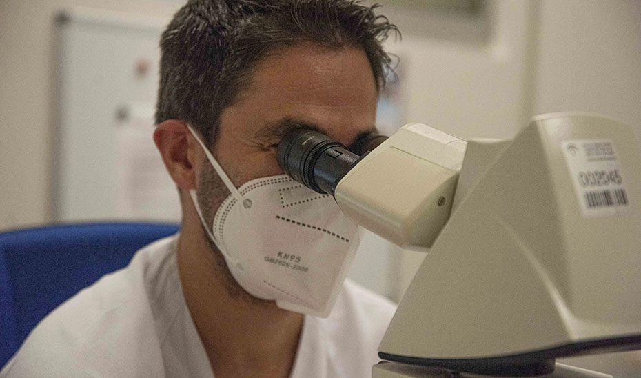 Imagen del artículo La Red de Fundaciones Gestoras de la Investigación de la sanidad pública contará con 126 millones