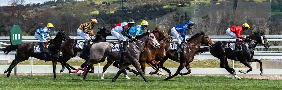 Imagen del artículo El Hipódromo de La Zarzuela inaugura la temporada de carreras 2025