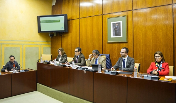 Imagen del artículo Andalucía lamenta las incongruencias de la Ley de Eficiencia de la Justicia y la falta de consenso con las autonomías
