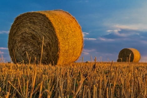 Imagen del artículo El Ministerio de Agricultura, Pesca y Alimentación inicia la consulta pública previa de la ley de agricultura familiar