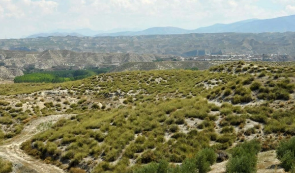 Imagen del artículo La Junta inicia los trámites para crear el Parque Natural de la Sierra de La Sagra, en Granada