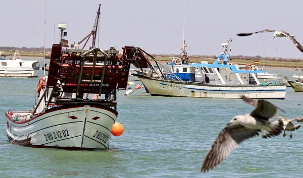 Imagen del artículo Crespo urge al Ministerio ayudas para la flota del Golfo de Cádiz afectada por el final del acuerdo de pesca con Marruecos