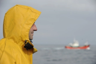 Imagen del artículo Leandro Azkue, Viceconsejero de Pesca del Gobierno Vasco: Esperada y acertada la decisión del Ministerio en el acuerdo con la flota de cerco del Cantábrico NW en la pesquería de anchoa