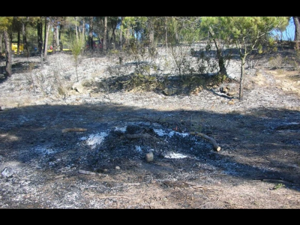 Imagen del artículo A partir de dissabte, comença la prohibició de fer foc al bosc amb un nou sistema d'autoritzacions que millora el control sobre les activitats de risc d'incendi