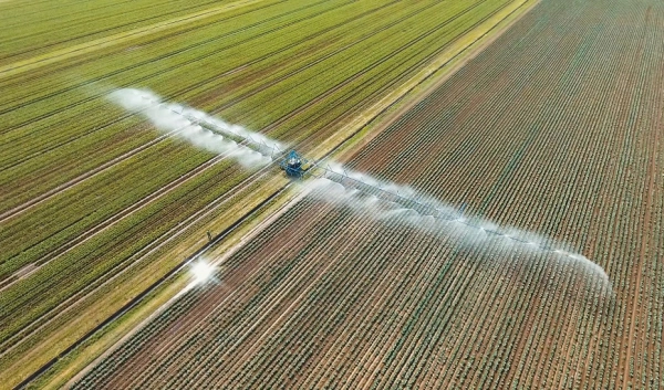 Imagen del artículo La Junta aprueba la formulación de la Estrategia de la Industria Agroalimentaria Andaluza 2024-27