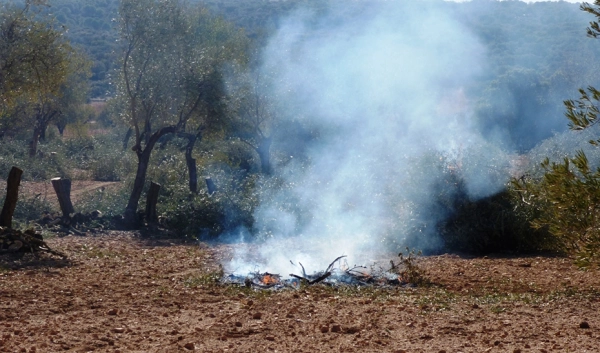 Imagen del artículo Prolongada la prohibición de las quemas agrícolas para prevenir incendios forestales hasta el 8 de mayo