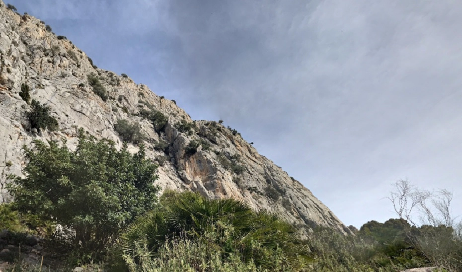 Imagen del artículo Una joven de 22 años fallece tras caer cuando escalaba en El Chorro