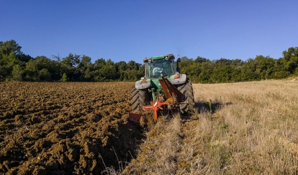 Imagen del artículo La Junta activa una línea de préstamos para los agricultores andaluces sin necesidad de avales
