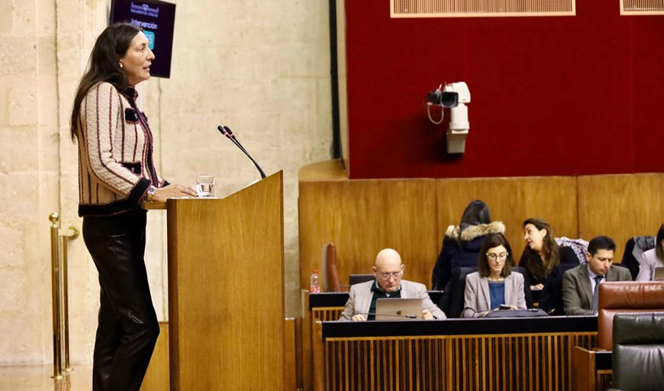 Imagen del artículo Loles López destaca que la Renta Mínima ayuda a todas las familias que deja fuera el Ingreso Mínimo Vital del Gobierno