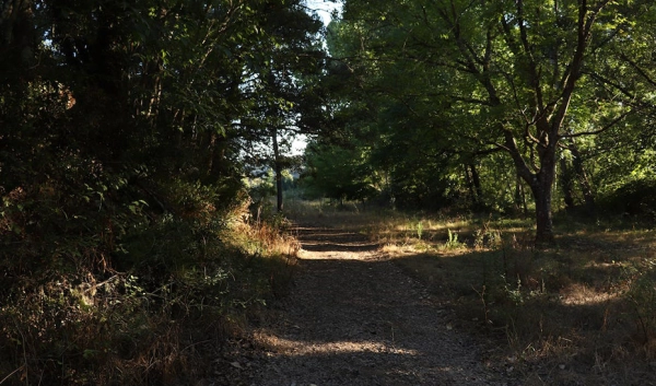 Imagen del artículo Andalucía destina ayudas por valor de seis millones a proyectos de I+D en biodiversidad y cambio climático