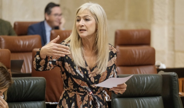 Imagen del artículo Del Pozo informa de que el próximo curso habrá más de 91.000 plazas de nuevo ingreso