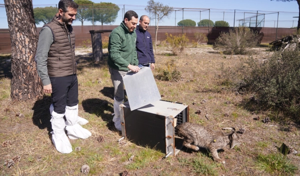 Imagen del artículo Moreno: Doñana es una joya y emblema del firme compromiso del Gobierno andaluz con el medioambiente y la sostenibilidad