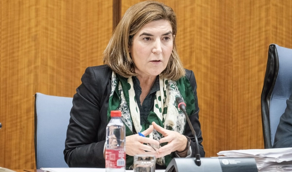 Imagen del artículo Empleo respaldó el pasado año la creación y mantenimiento de más de 80.000 puestos de trabajo y la formación de 43.200 andaluces