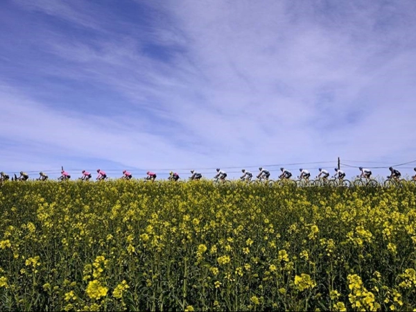 Imagen del artículo L'Observatori del Paisatge Catalunya difon les característiques dels paisatges que creua la Volta Ciclista a Catalunya