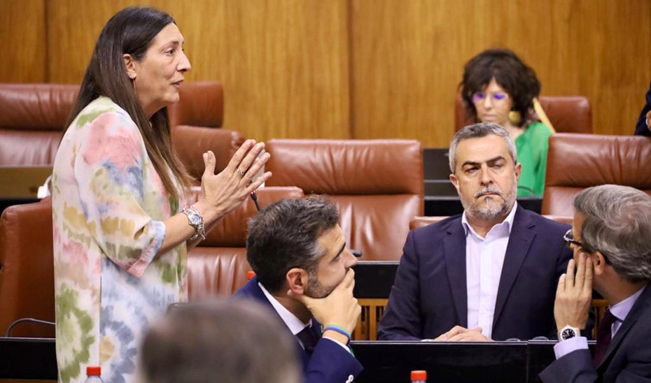 Imagen del artículo Loles López asegura en el Parlamento que la coeducación es clave para avanzar en igualdad